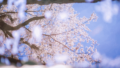 400_225 gif 动态图 动图