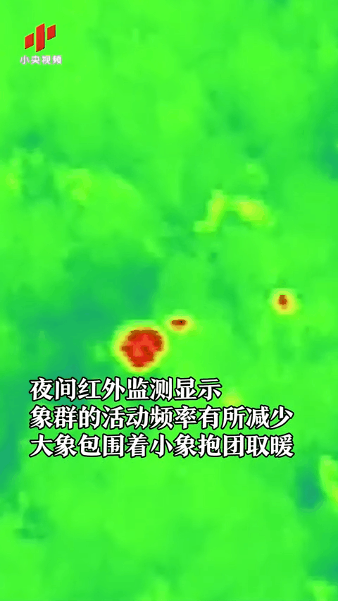 图片新闻   象群西北迁移后转向南下   总体向西迁移5.
