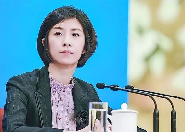 外交部翻译天团来了四大女神都是什么来头