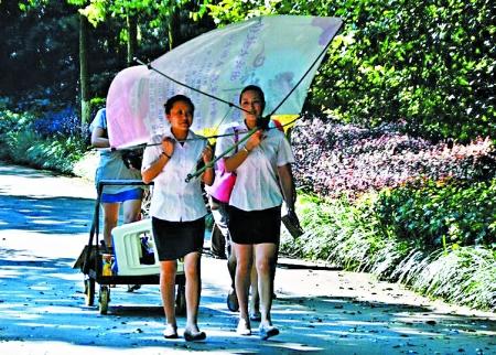 两个“女汉子”扛起广告架，将架子上的广告变成遮阳伞。 拍客黎先生摄于渝北区