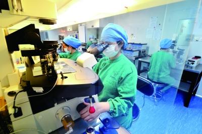 热线每日新闻精选 冻卵存活率虽高后续风险重重 许多人对精子库