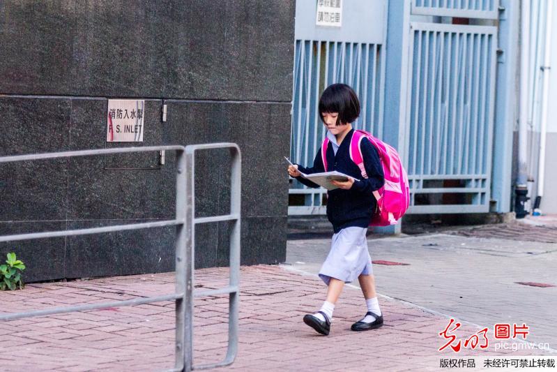 香港:小学生功课负担沉重 家长陪伴上学帮背书包