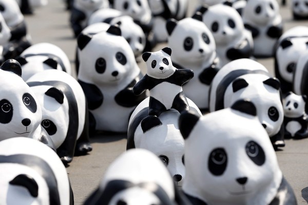 1600只纸熊猫