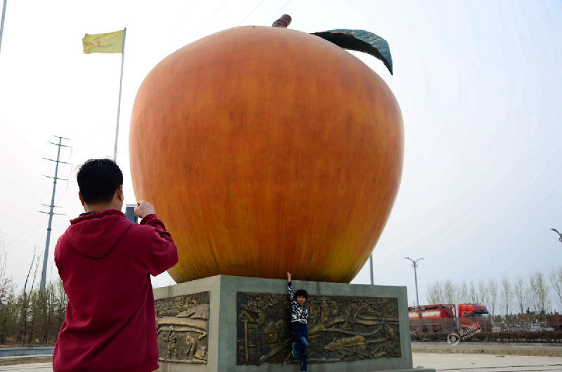 山东聊城现巨型苹果雕塑 形象逼真高达8米