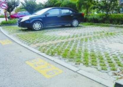 上海热线新闻频道--路边停车收费无发票 官方: