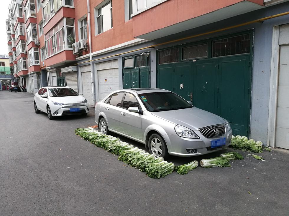 大白菜摆出停车位 网友:绿色环保有点贵__上海热线新闻频道