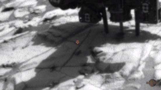 美国火星车拍下惊人“火星爬虫”：奔跑迅速
