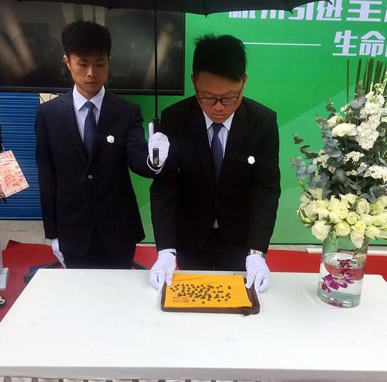  3月28日，在杭州殡仪馆，工作人员将张女士母亲骨灰制成的“生命晶石”摆放好。 新华社记者 俞菀 摄