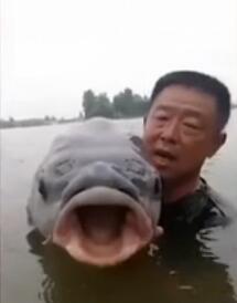 男子钓150斤巨型青鱼 6次被拉下水