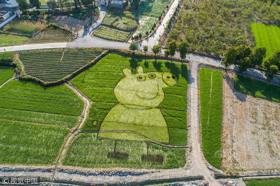 稻田里种出小猪佩奇 巧手农民创意多