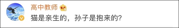 四川一老人用绳吊孙子下楼救猫