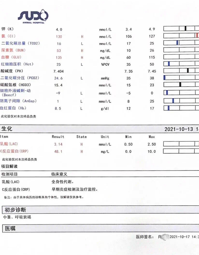 2岁阿拉斯加犬被关进烘干箱死亡 宠物店:错过最佳抢救时间