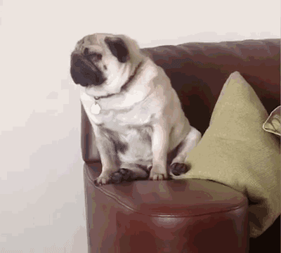 社会新闻   最近是不是经常觉得   困啊累啊懒得动啊?