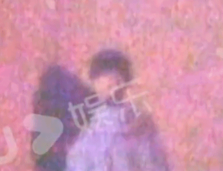 女明星|