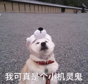 人保财险|