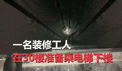 低头族|