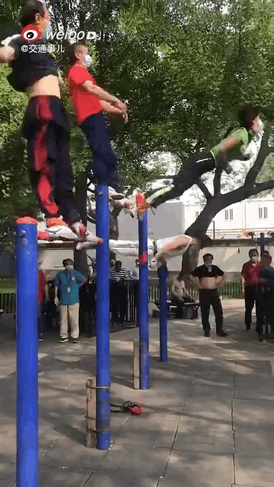 锻炼方法|惊人锻炼方式吓坏网友！沈阳大爷大妈把头挂树上锻炼，用具还获得了国家专利