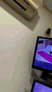 钱枫|举报性侵女生报警后 钱枫疑拜太岁 微博多次上线着急程度肉眼可见