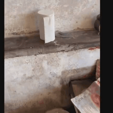 http://dingyue.ws.126.net/2021/1201/b7b2c841g00r3fsye00xcc000a000a0m.gif