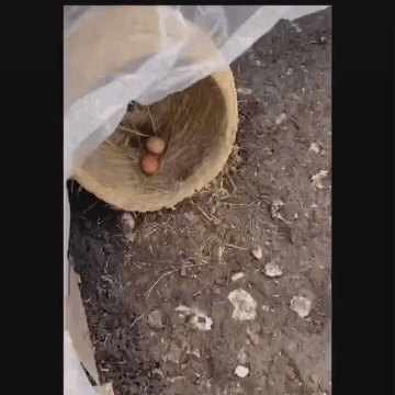 http://dingyue.ws.126.net/2021/1201/a2102eb2g00r3fsye00xmc000a000a0m.gif