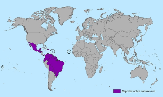 根据CDC发布的图片资料，报告寨卡病毒案例的国家绝大多数位于美洲。紫色区域代表受到寨卡病毒影响的国家。