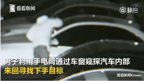 今朝上海｜集齐七龙珠？上海五种颜色公共脚踏车，侬分得清爽伐？帮侬盘一盘