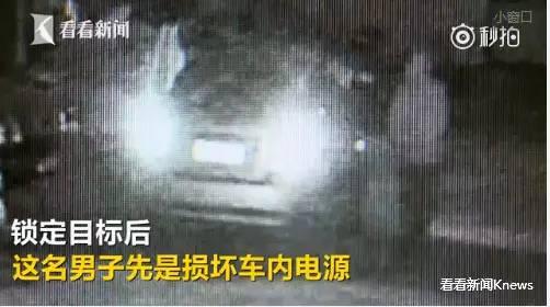 今朝上海｜集齐七龙珠？上海五种颜色公共脚踏车，侬分得清爽伐？帮侬盘一盘