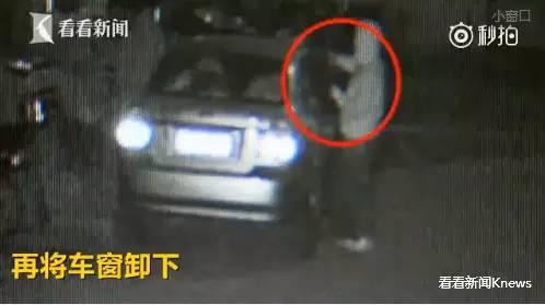 今朝上海｜集齐七龙珠？上海五种颜色公共脚踏车，侬分得清爽伐？帮侬盘一盘