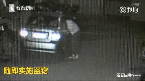 今朝上海｜集齐七龙珠？上海五种颜色公共脚踏车，侬分得清爽伐？帮侬盘一盘