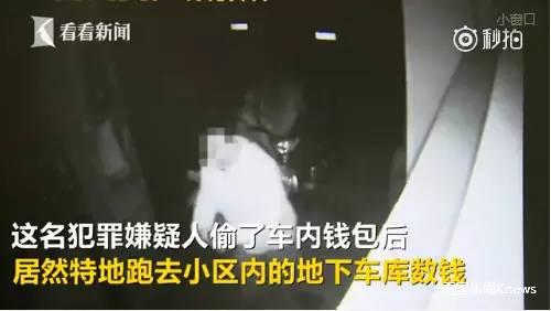 今朝上海｜集齐七龙珠？上海五种颜色公共脚踏车，侬分得清爽伐？帮侬盘一盘