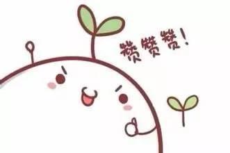 今朝上海｜集齐七龙珠？上海五种颜色公共脚踏车，侬分得清爽伐？帮侬盘一盘