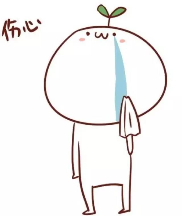 今朝上海｜集齐七龙珠？上海五种颜色公共脚踏车，侬分得清爽伐？帮侬盘一盘