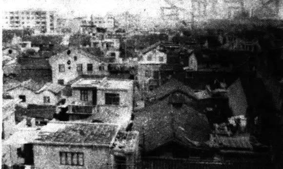 长宁有个“小河南”，你知道在哪吗？