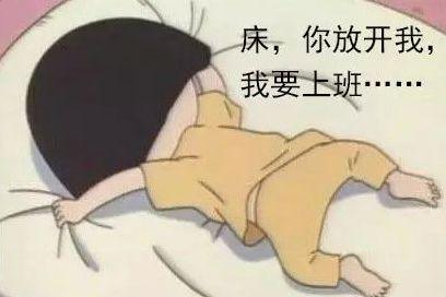 IMGbc305bcbf54a50235923477.jpeg