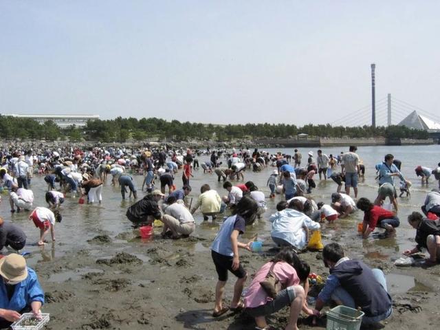 日本千叶县市川市人口_日本千叶县地图