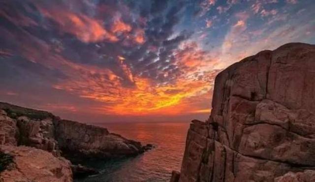 临港新片区不止是自贸区,还是旅游目的地、吃货天堂,学习发呆好地方