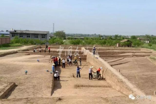 重磅！秦始皇陵園發現大型陪葬墓，“金駱駝”現世