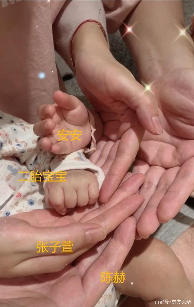 [张子萱]陈赫二胎得女 网友评论画风截然不同