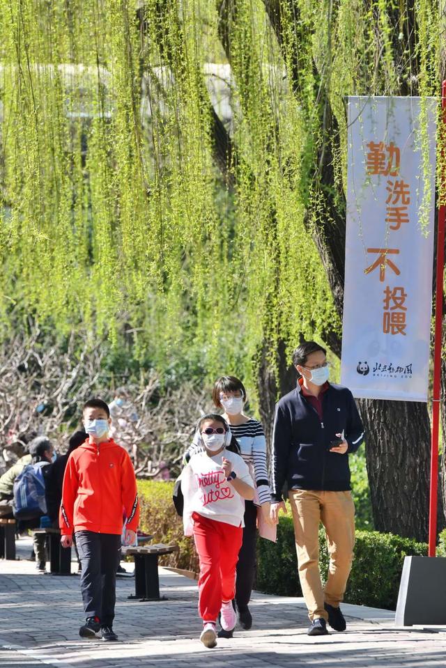 「错峰」北京动物园复园 关闭58天后迎客，动物们啥反应？