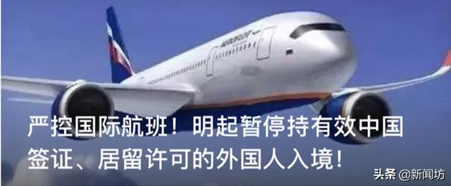 「集中隔离」新规落地后，浦东机场现在啥情况？
