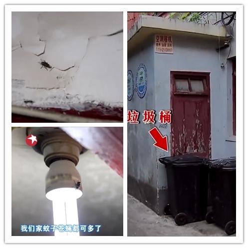 「攀岩」28岁女剩斗士与父母睡一床，晾衣像攀岩，25m2被他爆改成小别墅