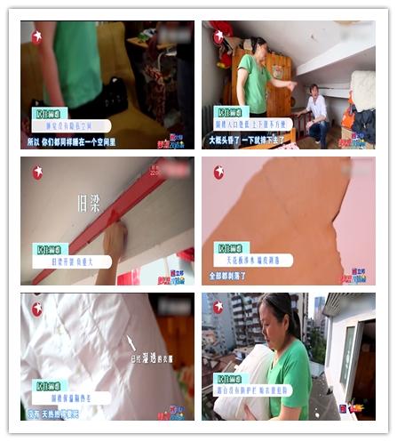 「攀岩」28岁女剩斗士与父母睡一床,晾衣像攀岩,25m2被他爆改成小别墅