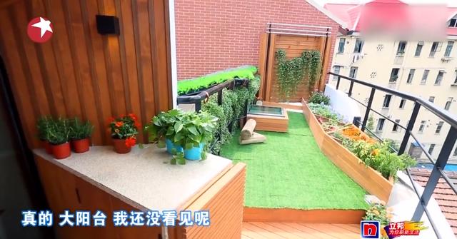 「攀岩」28岁女剩斗士与父母睡一床,晾衣像攀岩,25m2被他爆改成小别墅