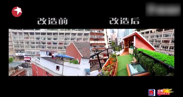 「攀岩」28岁女剩斗士与父母睡一床,晾衣像攀岩,25m2被他爆改成小别墅