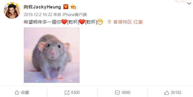 「怀孕」实锤了？小腹明显隆起，郭碧婷再被疑怀孕