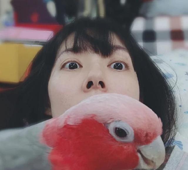 「肚子」郭碧婷再被疑怀孕 与向佐甜蜜旅行晒照 网友：这得有4个月了