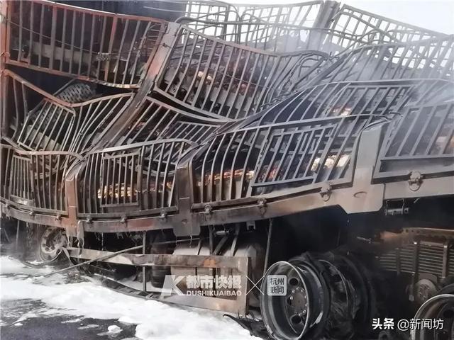 高速交警■高速突发大火!91头猪被“烤熟”,有一只这样逃出生天