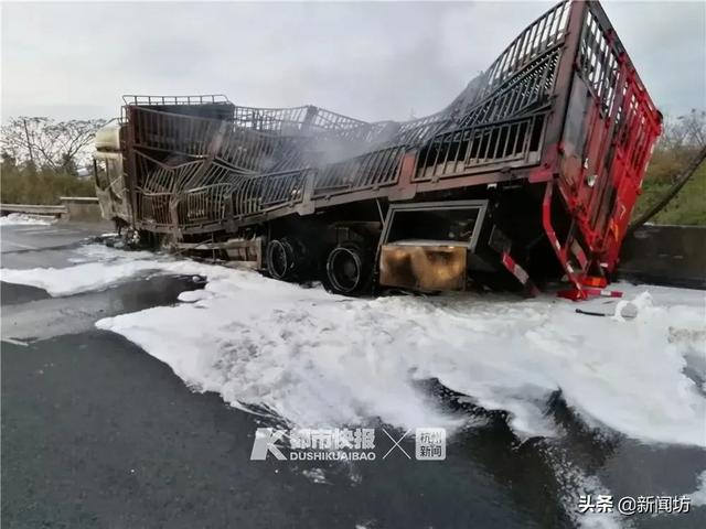高速交警■高速突发大火!91头猪被“烤熟”,有一只这样逃出生天