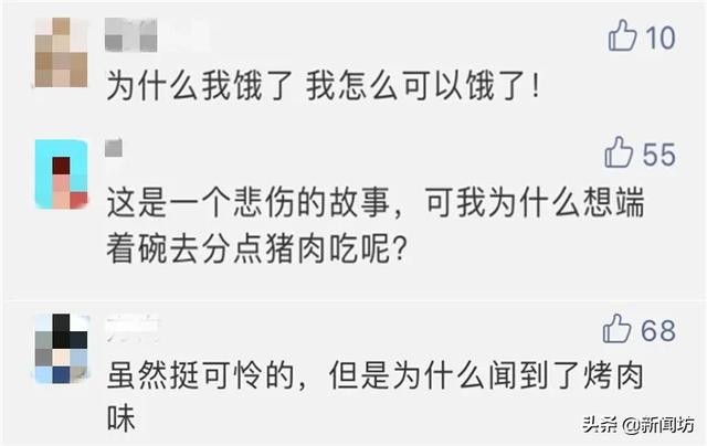 高速交警■高速突发大火!91头猪被“烤熟”,有一只这样逃出生天