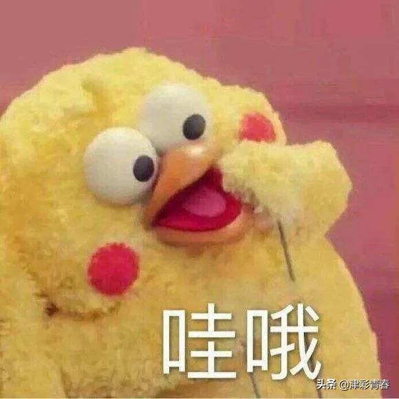 「微信」微信新增专辑功能 正在灰度测试阶段 有望将付费文章设置专栏